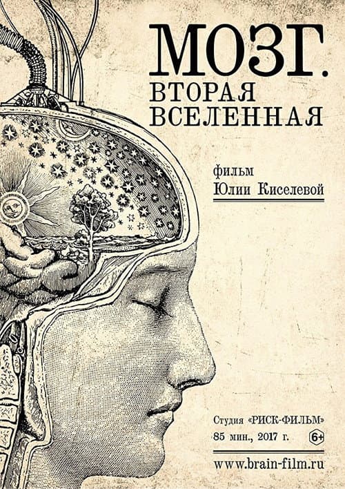Мозг. Вторая Вселенная (2017) poster