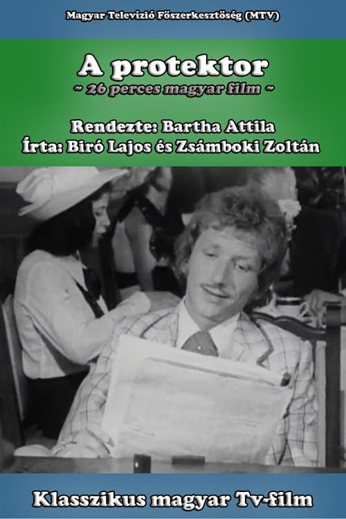 A protektor (1976) poster
