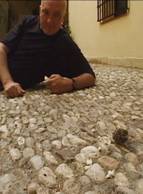 Scully in Malaga (1997) poster