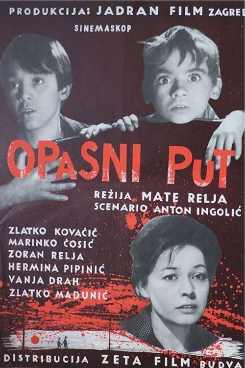 Opasni put (1963) poster