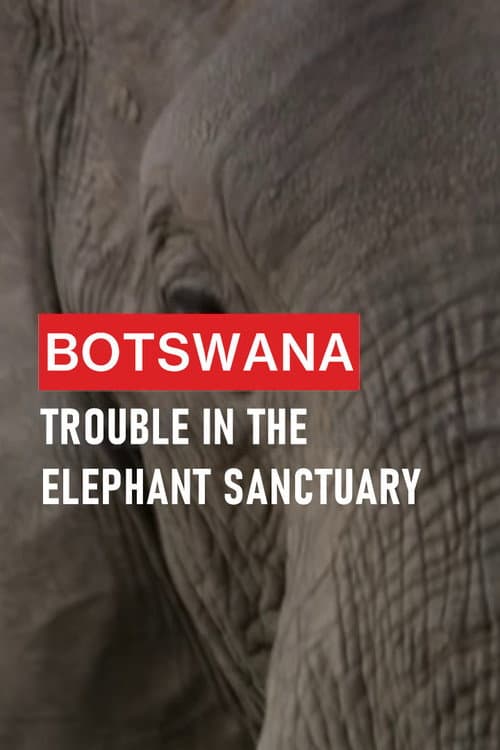 Botswana: Trouble in the Elephant Sanctuary (2019) poster