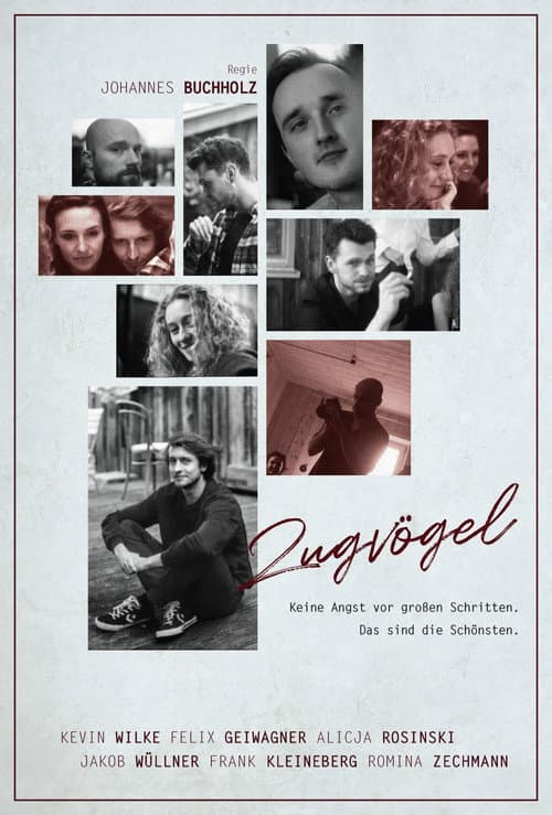 Zugvögel (2022) poster