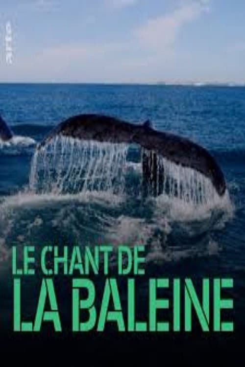 Whale Patrol (2009) poster