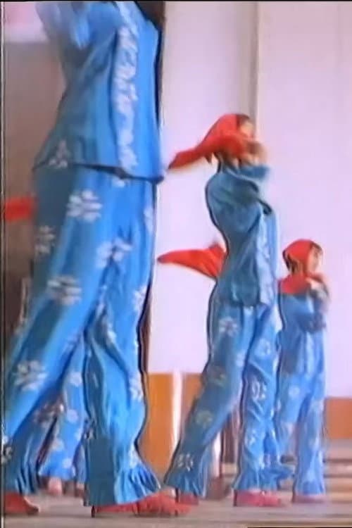 飞了ch (1994) poster