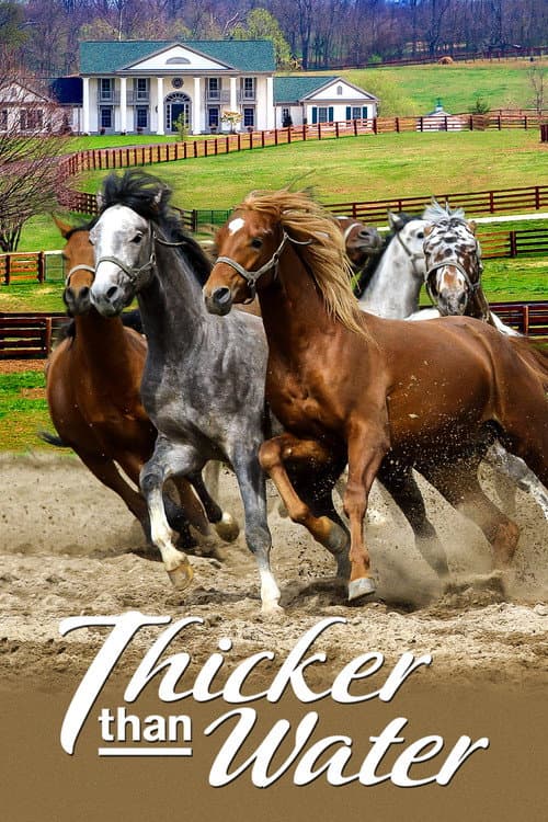 Thicker Than Water (2005) poster