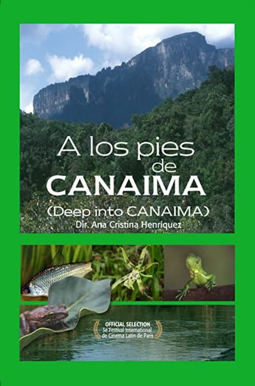 A los pies de Canaima (2009) poster