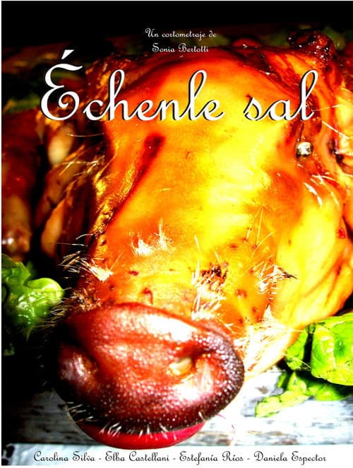 Échenle Sal (2009) poster