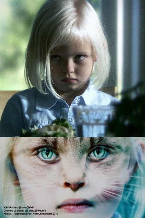 Kärleksbarn (2009) poster