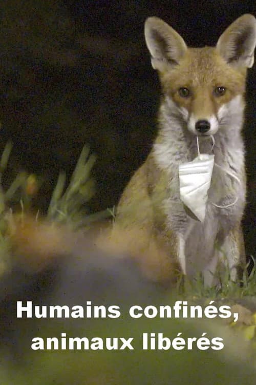 Menschen eingesperrt, Tiere befreit (2023) poster