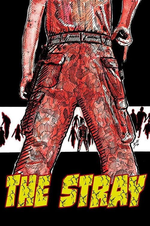 The Stray (2016) poster