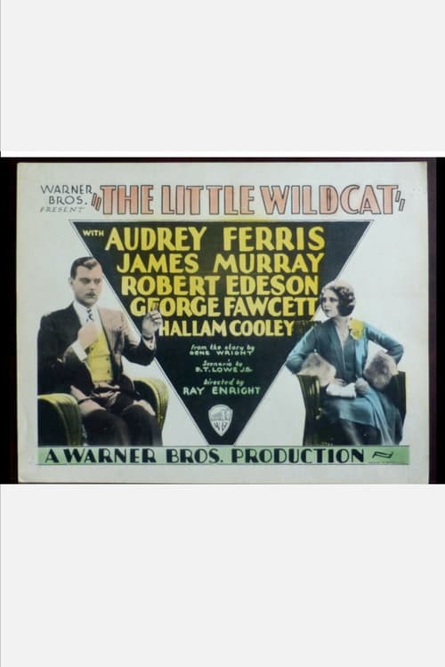The Little Wildcat (1928) poster