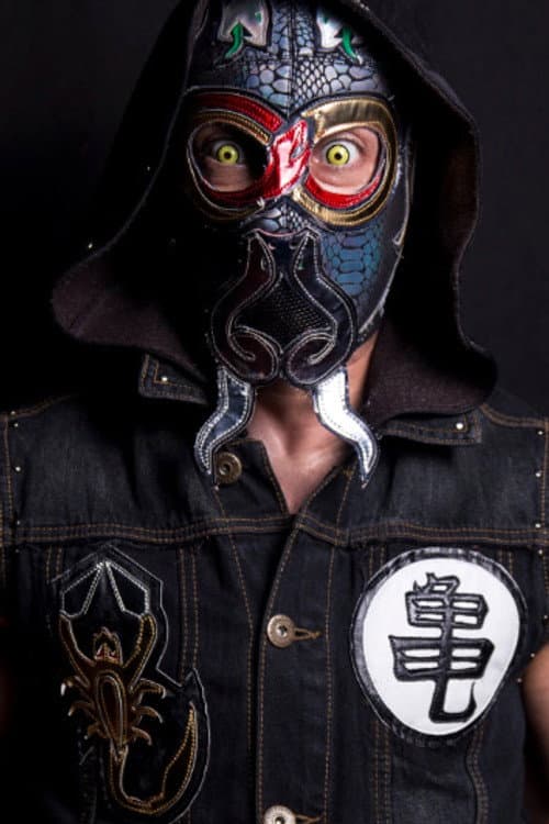 Ophidian foto