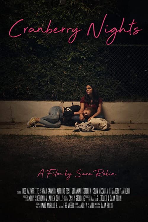 Cranberry Nights (2020) poster