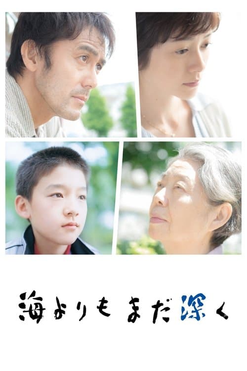 After the Storm (2016) poster