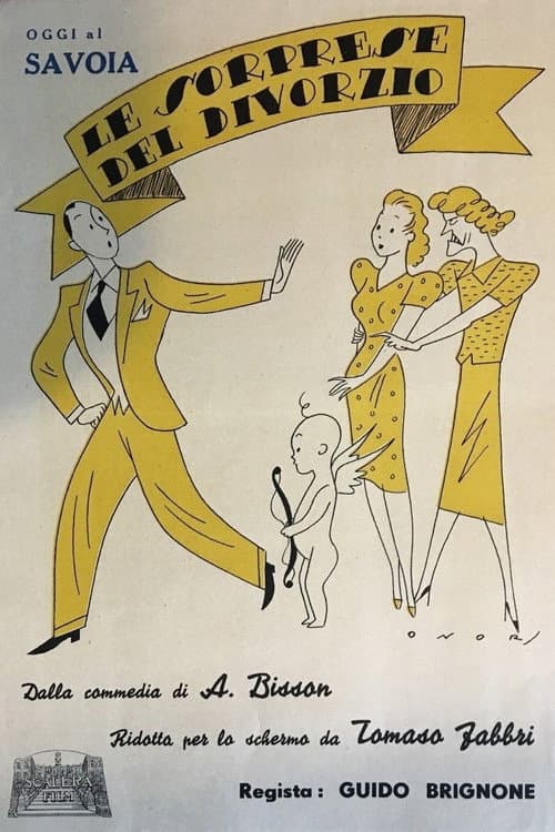 Le sorprese del divorzio (1923) poster