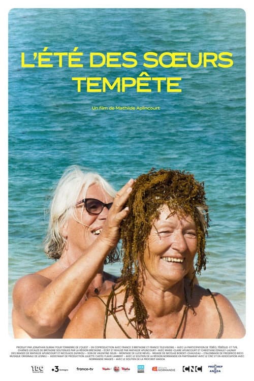 L'été des sœurs Tempête (2025) poster