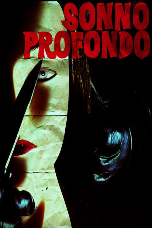 Sonno Profondo (2013) poster