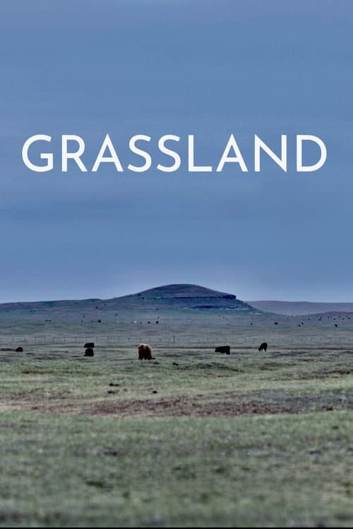 Grassland (2023) poster