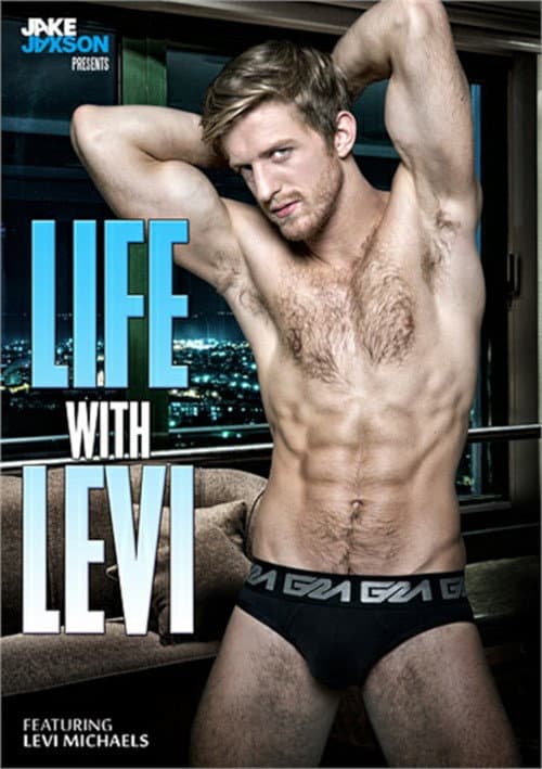 Life with Levi (2015) poster