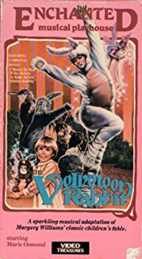 Enchanted Musical Playhouse: The Velveteen Rabbit (1984) poster