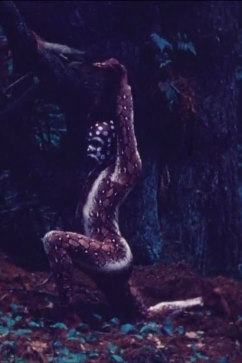 Snake Dance Teacher Dance (1978) poster