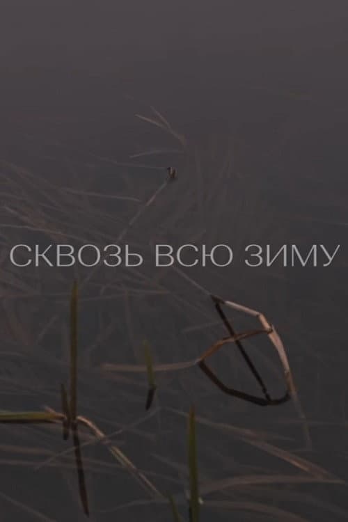 Сквозь всю зиму (2020) poster