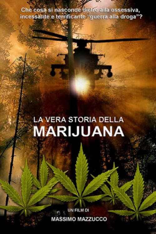 La vera storia della marijuana (2010) poster