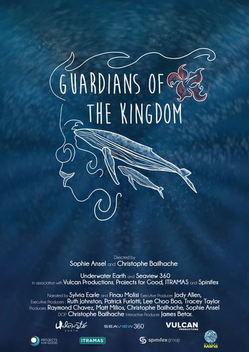 Guardians of the Kingdom (2020) poster
