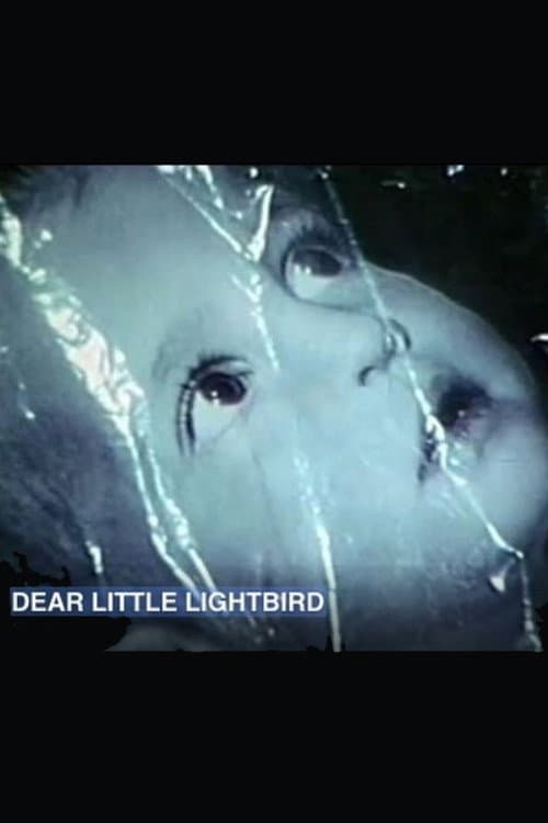 Dear Little Lightbird (1968) poster