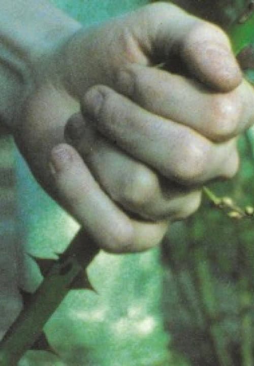 After The Break (1998) poster