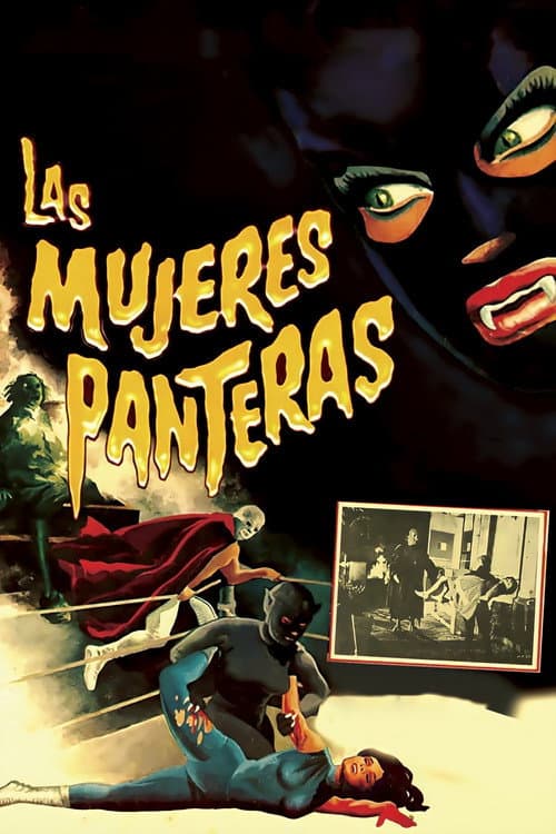 Las mujeres panteras (1967) poster