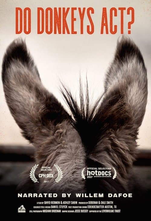 Sanctuary (2017) poster