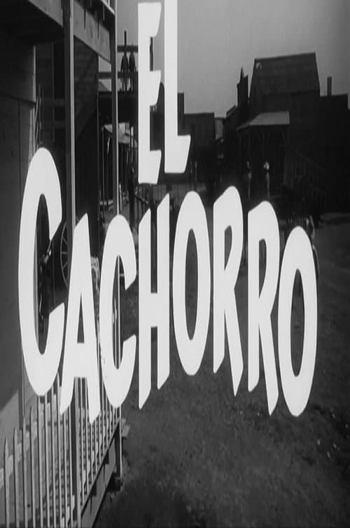 El cachorro (1966) poster