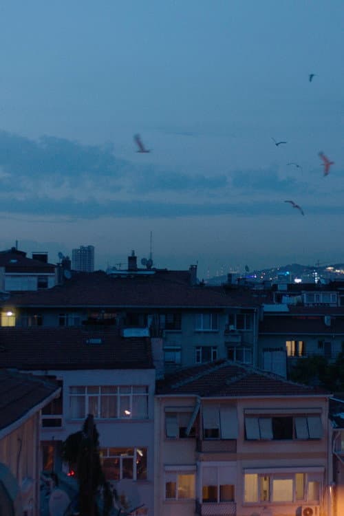 Yanıltıcı Derinlikler (2023) poster