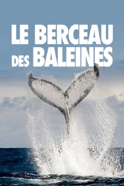The Cradle of Whales (2015) poster