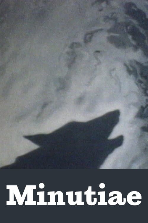 Minutiae (1990) poster