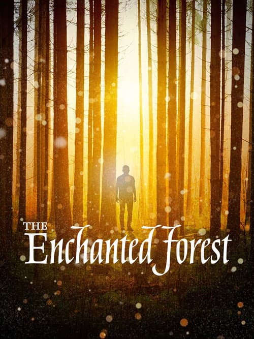 The Enchanted Forest (2020) poster