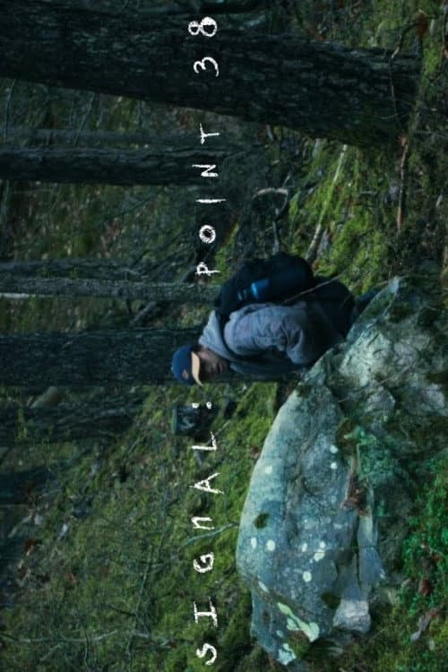 Signal point 38 (2025) poster