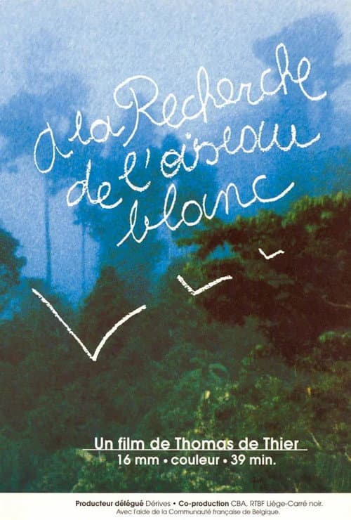 A la recherche de l'oiseau blanc (1996) poster