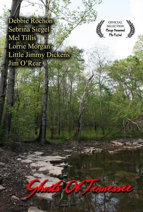 Ghosts of Tennessee (2011) poster