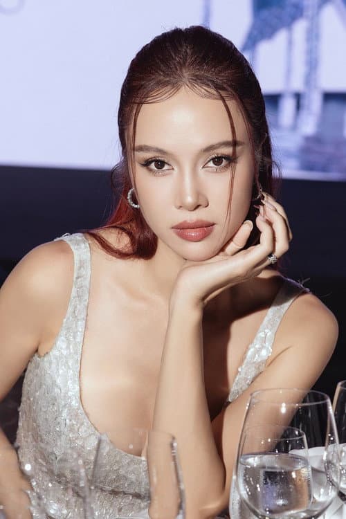Vũ Ngọc Anh foto