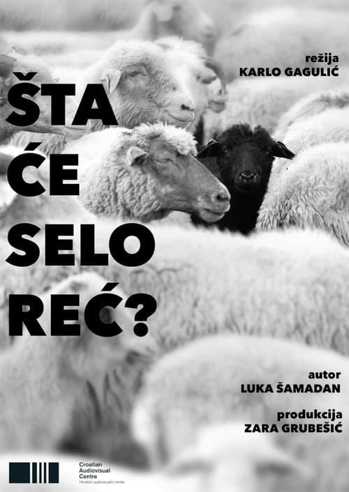 Šta će selo reć (2023) poster