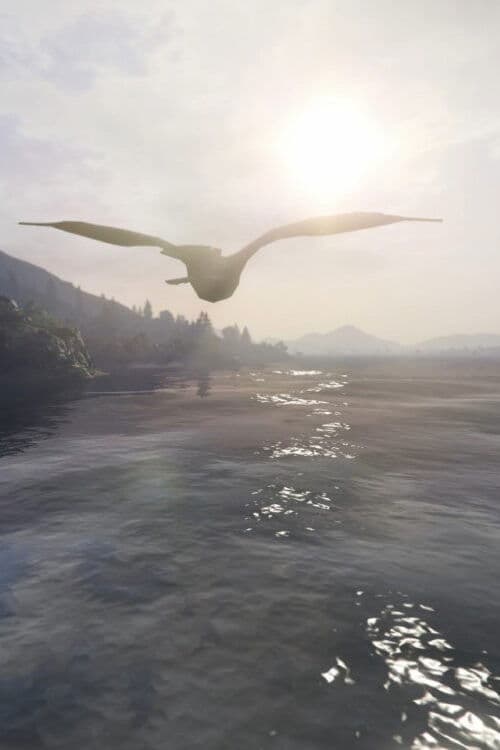 How to Fly (2021) poster