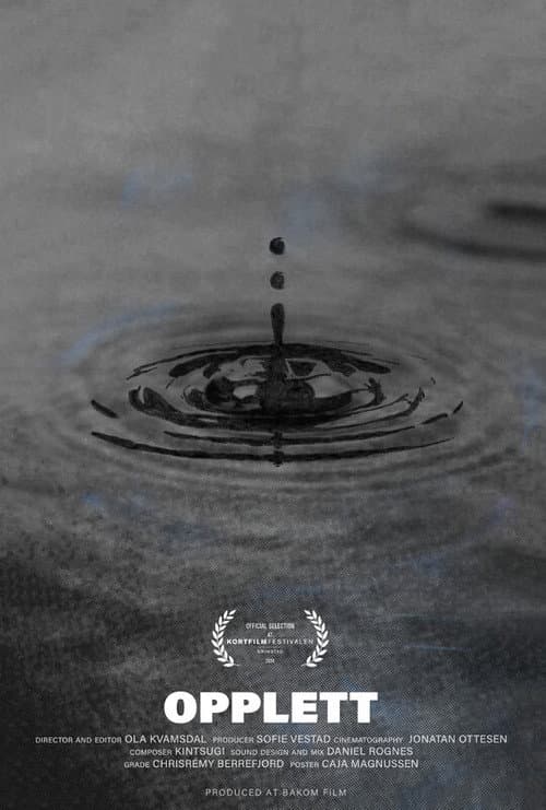 Opplett (2023) poster