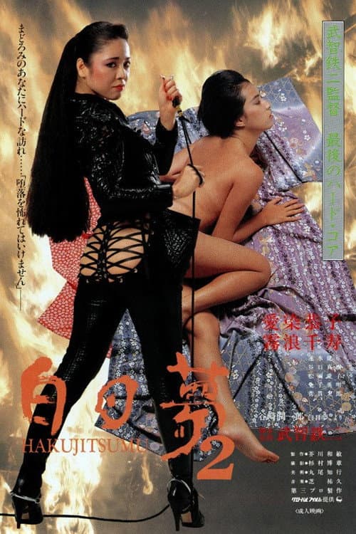 白日夢2 (1987) poster