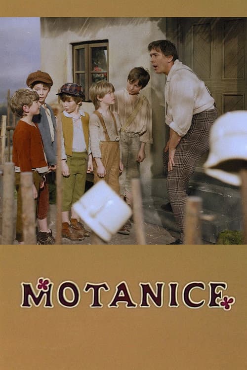 Motanice (1988) poster