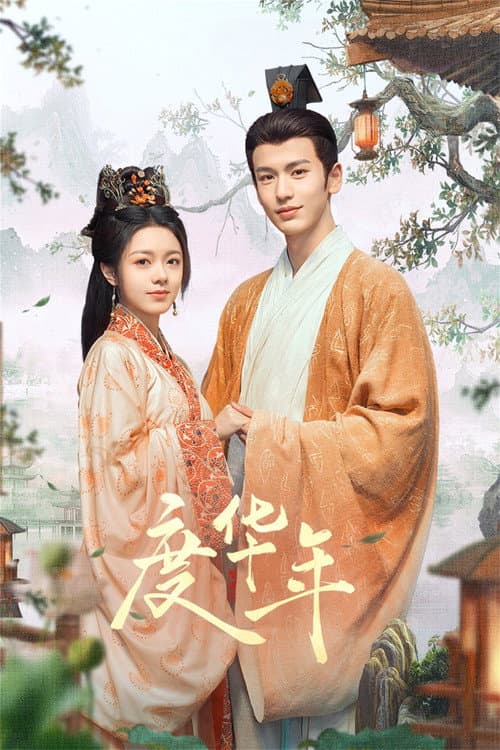 度华年 (2024) poster