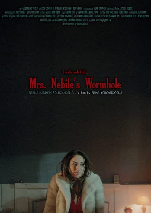 Nebile Hanım'ın Solucan Deliği (2016) poster