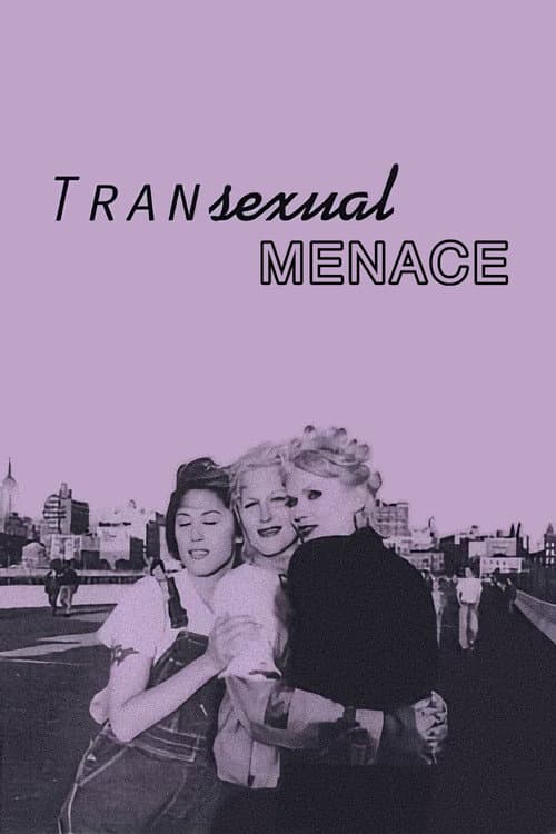 Vor Transsexuellen wird gewarnt (1996) poster
