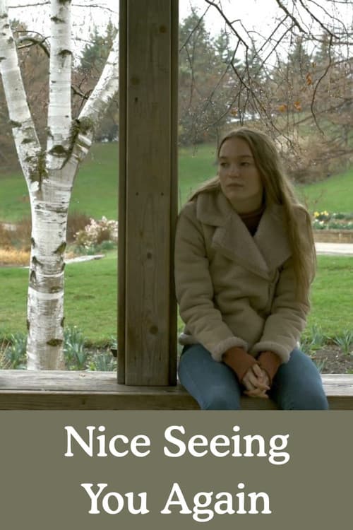 Nice Seeing You Again (2021) poster